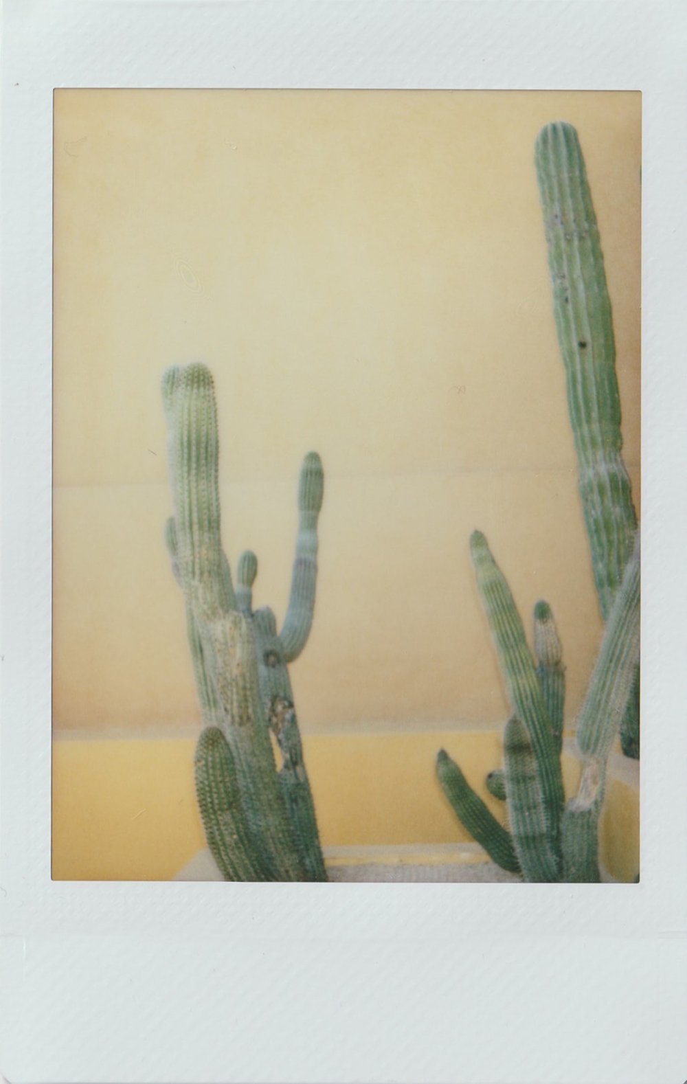 16_polaroid-10.jpg