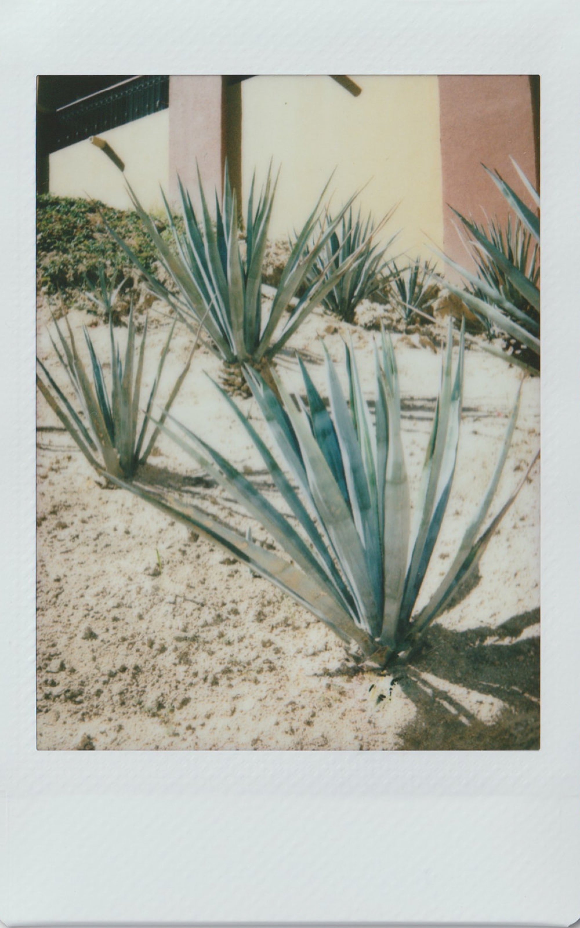 44_polaroid-15.jpg