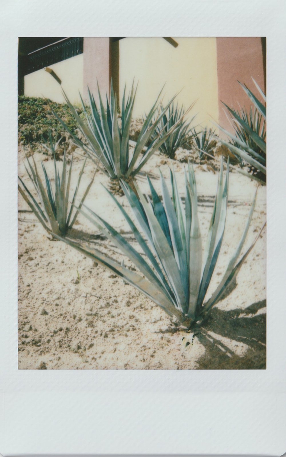 44_polaroid-15.jpg