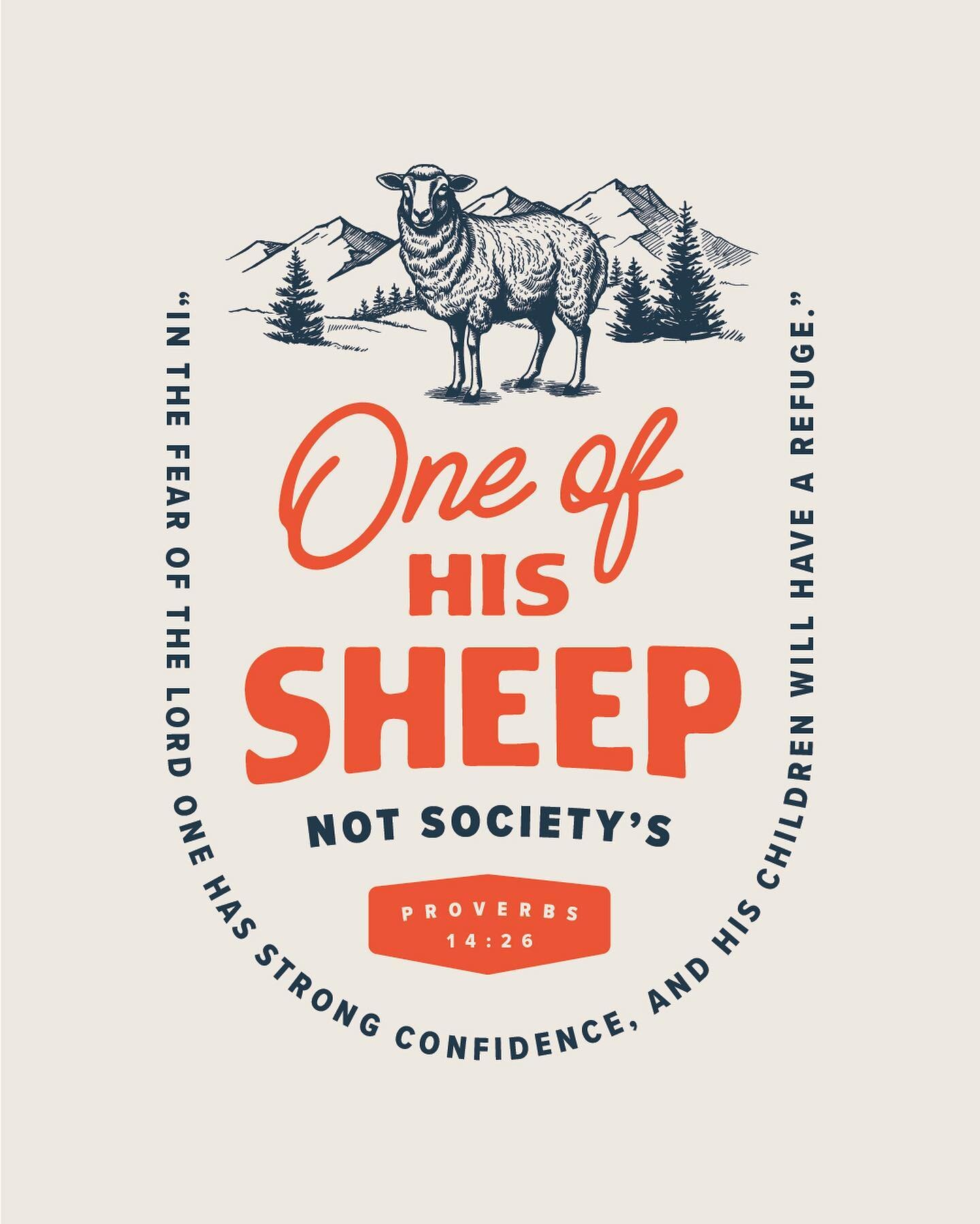 Not a sheep in society, but one of HIS sheep. 

A sheep in society is a blind follower. Someone who is easily influenced by others and conforms to the ways of the world. Society&rsquo;s sheep believe and do what they&rsquo;re told without thinking an