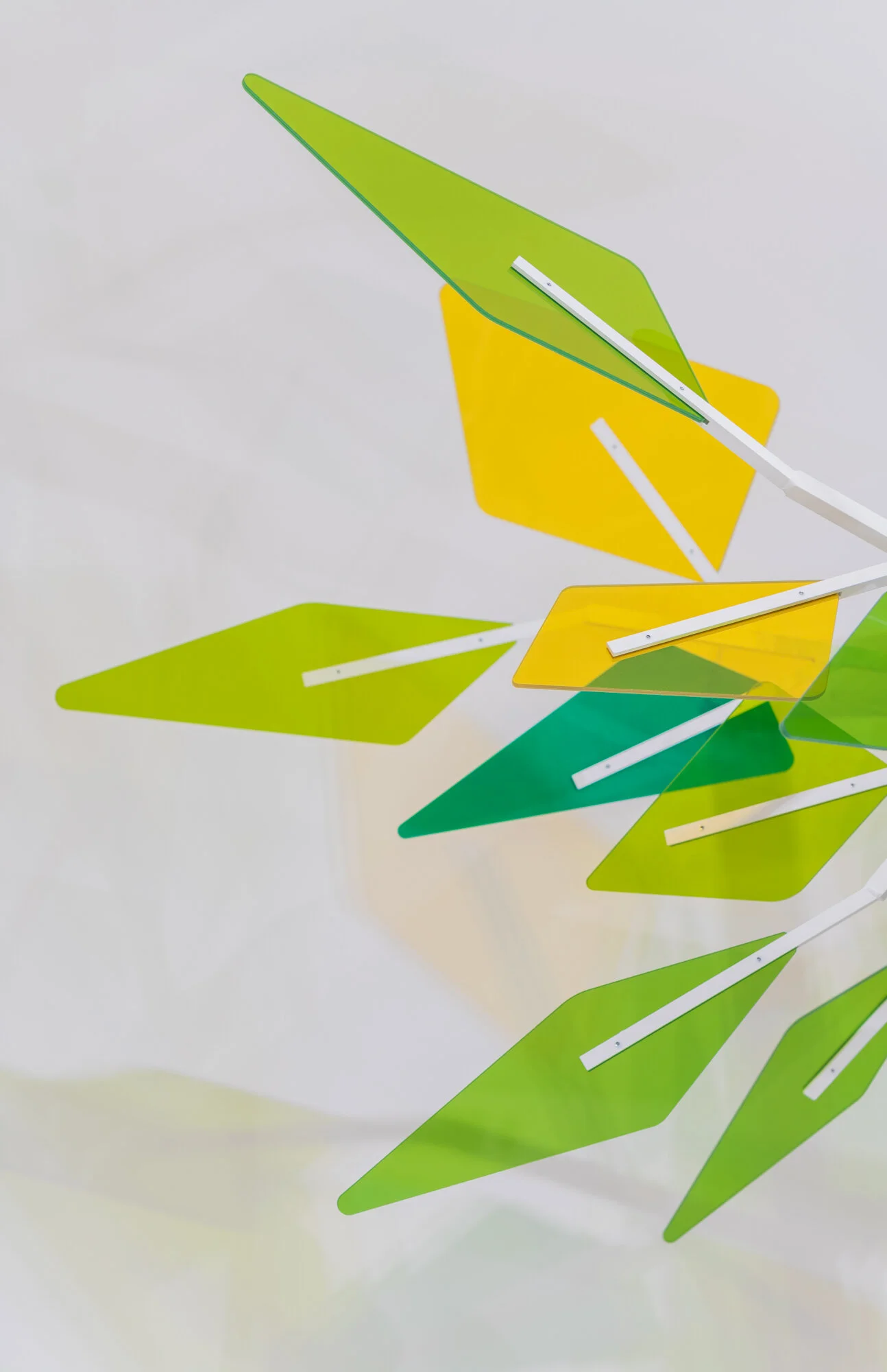 Canopy 10.JPG