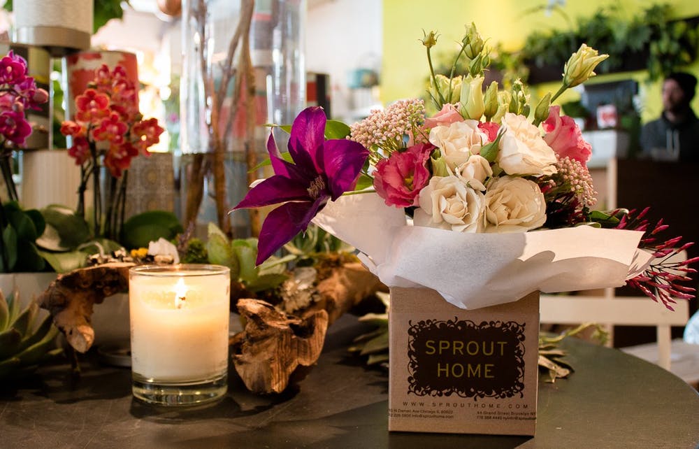 Sprout Home Chicago feature shot for Apartment Therapy