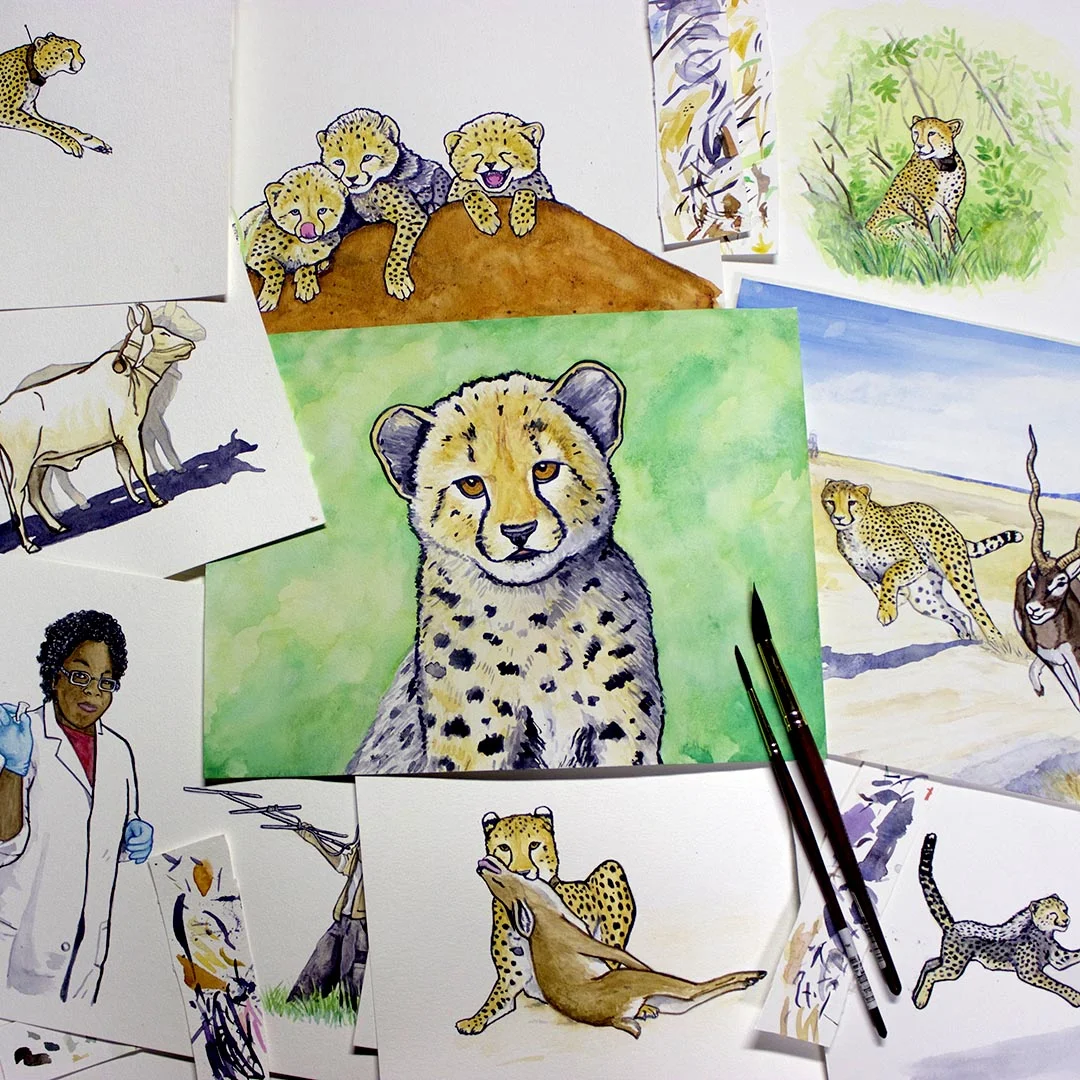 JessieJordan_CCF_childrensbook.jpg