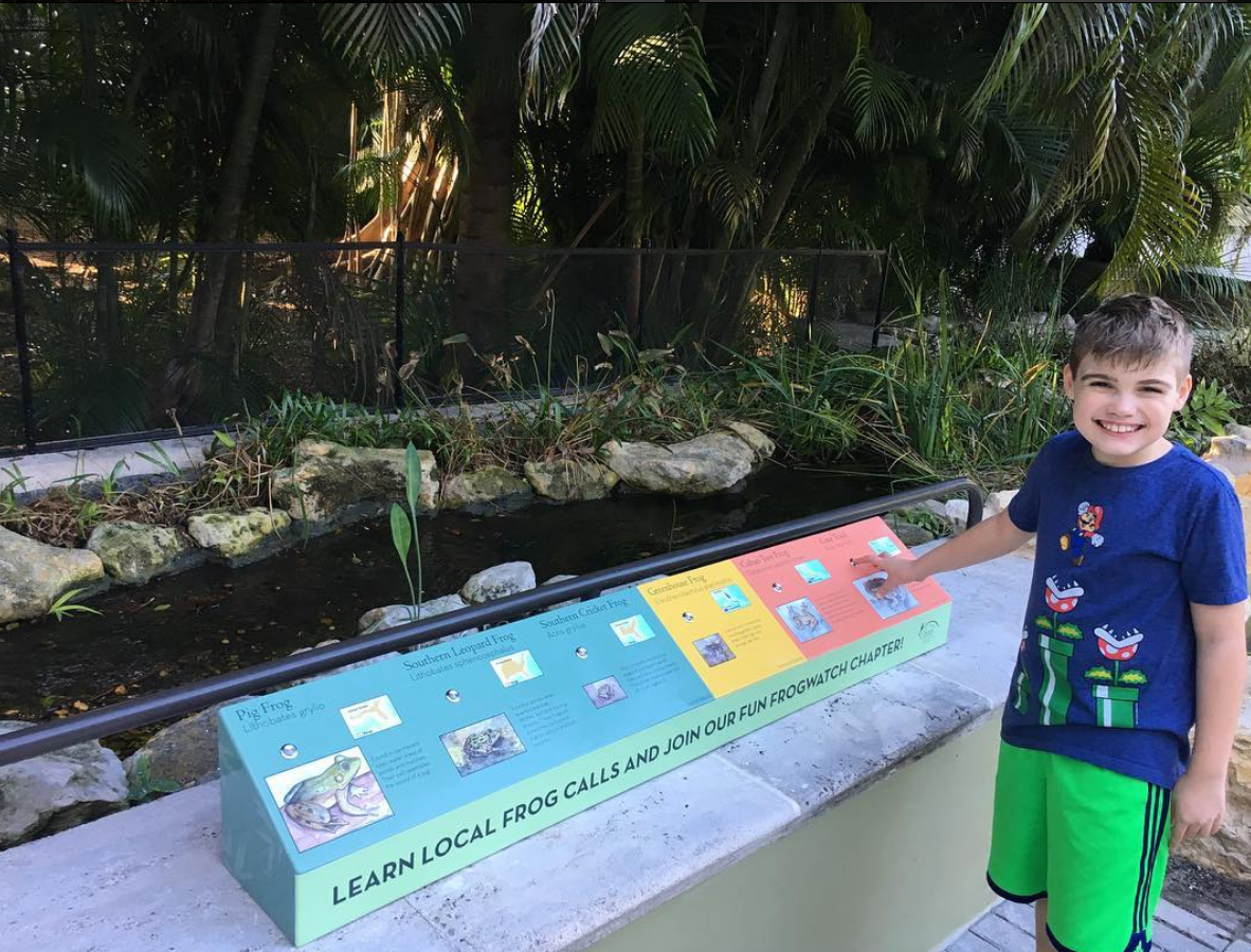 Frog Call Interactive