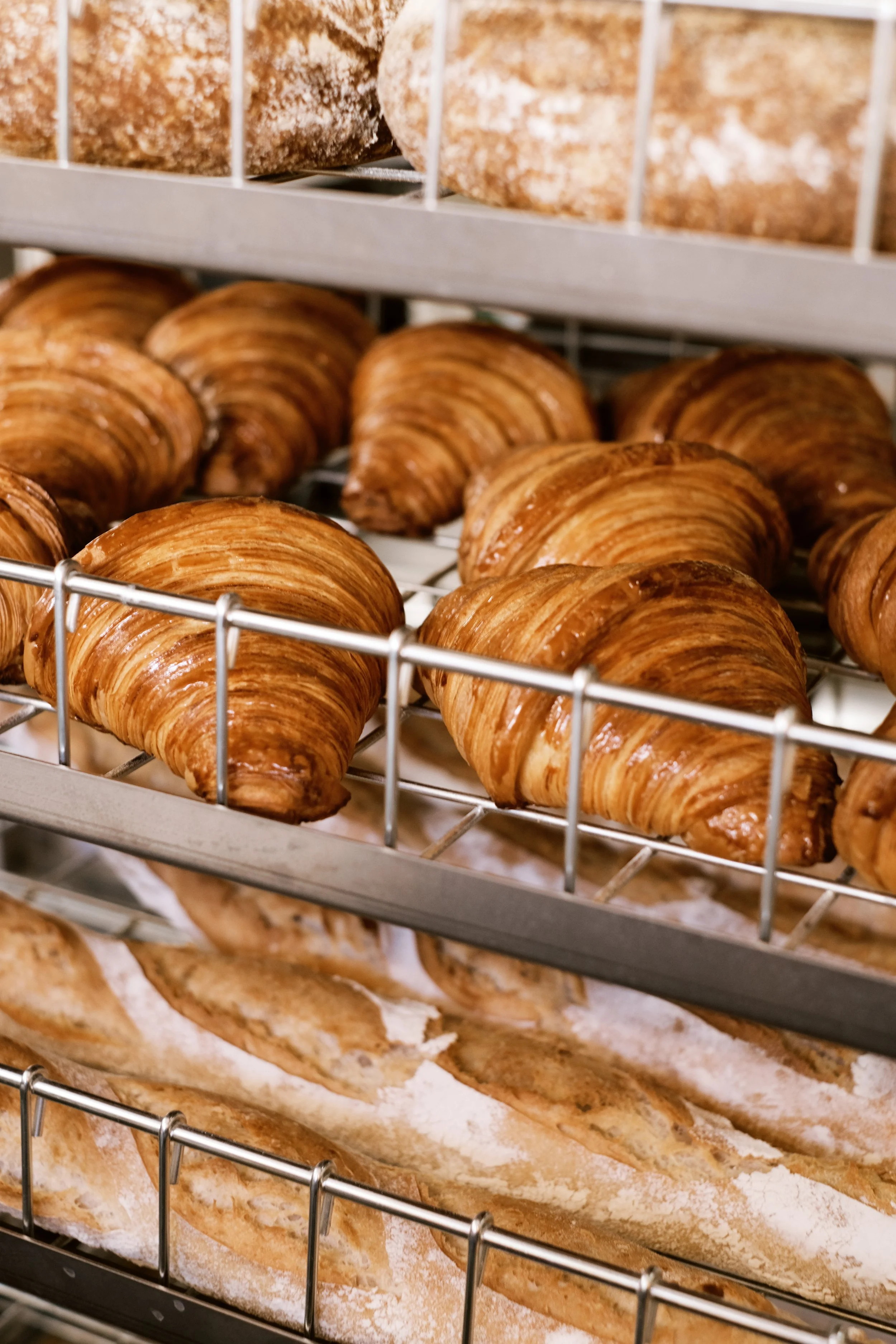 GoingPlaces: London-Aries31.JPG