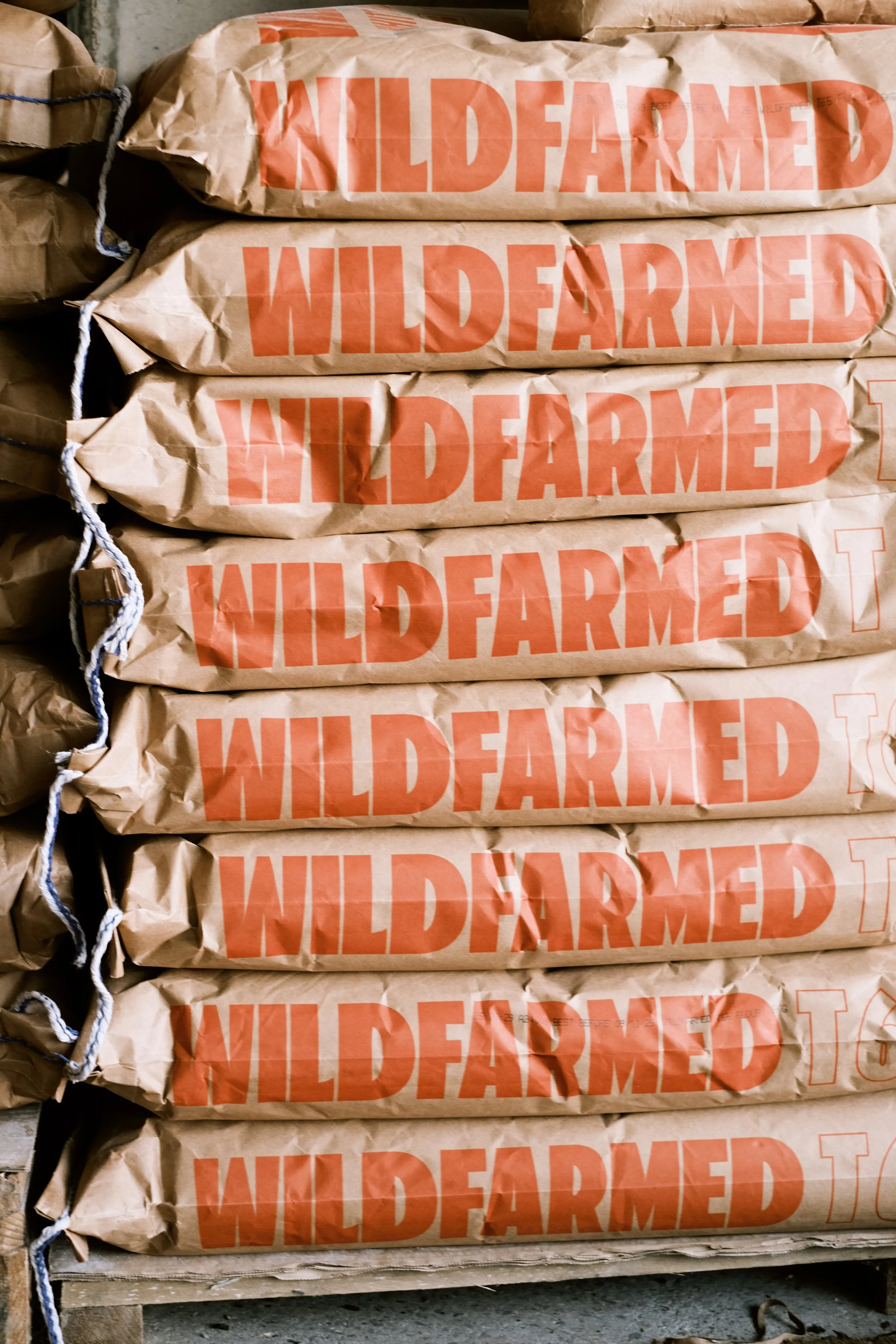 GoingPlaces: London-Beaten34.JPG