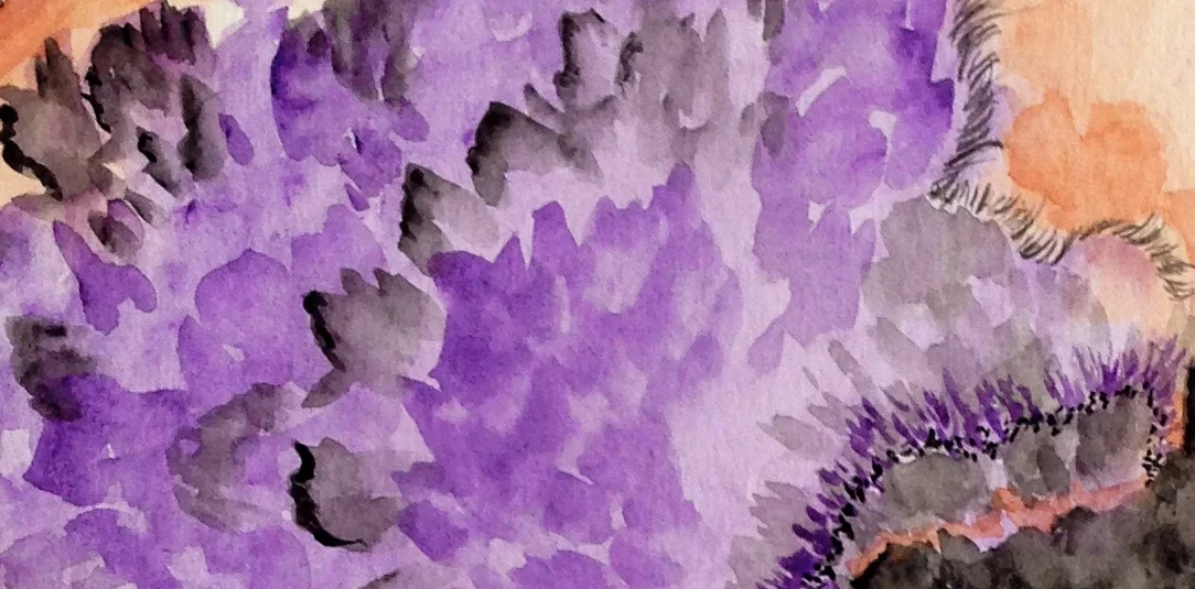 IMG_7684 - Version 2.jpg