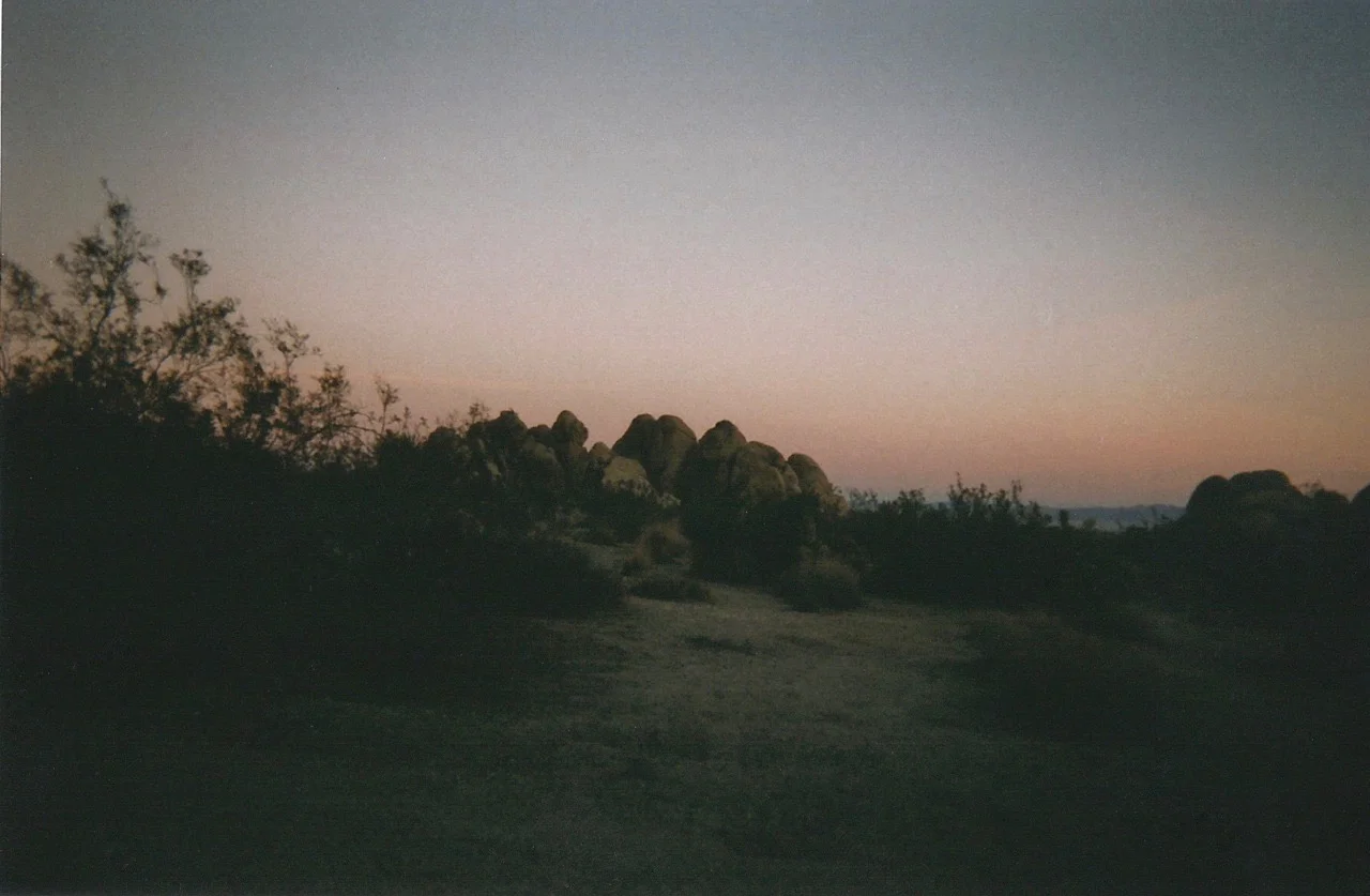tumblr_lxi68x1qiu1qc2gkco1_1280.jpg