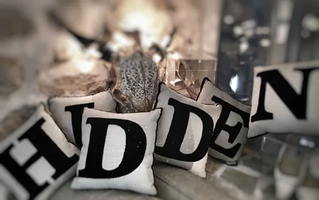 med hidden cushions .jpeg