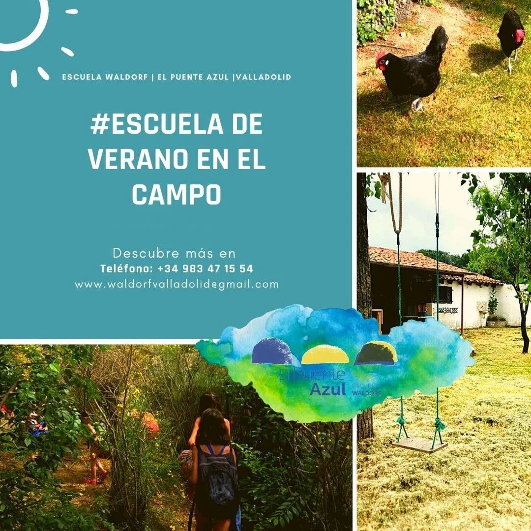 Escuela de Verano en el Campo 