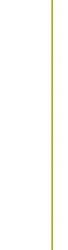 line 01.jpg