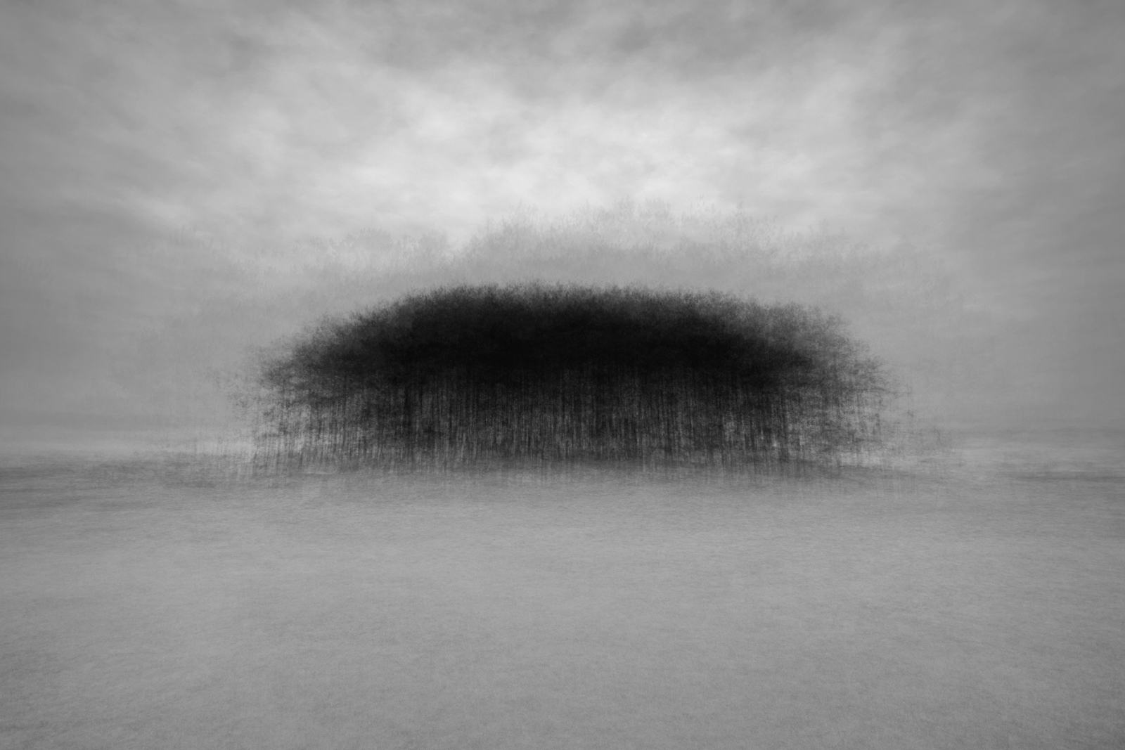 Whiteford Point Trees 360 in 37 steps lighter-contrast.jpg