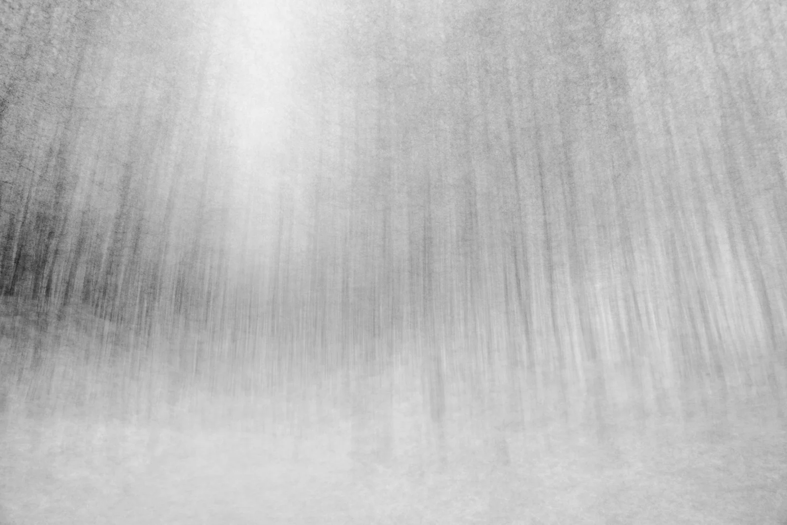 Back through the woods variations lighter.jpg