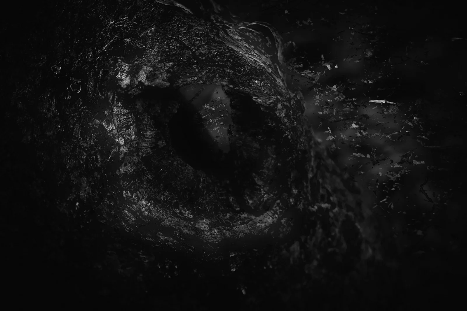 Your fair natures will be so disguised that the aspect of his eyes will pry like deep-sea horrors divers see.