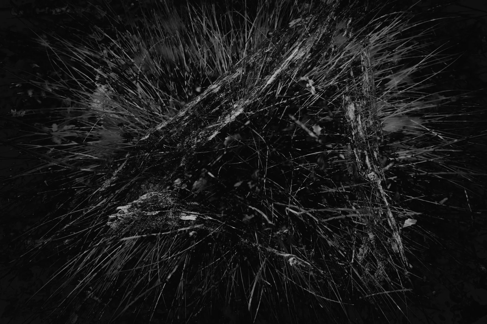 And so to midnight and into the ebb-time when the spirit slips lightly from sick men and when it's like no-mans-land between yesterday and tomorrow and material things are loosely integrated and barely tacked together.