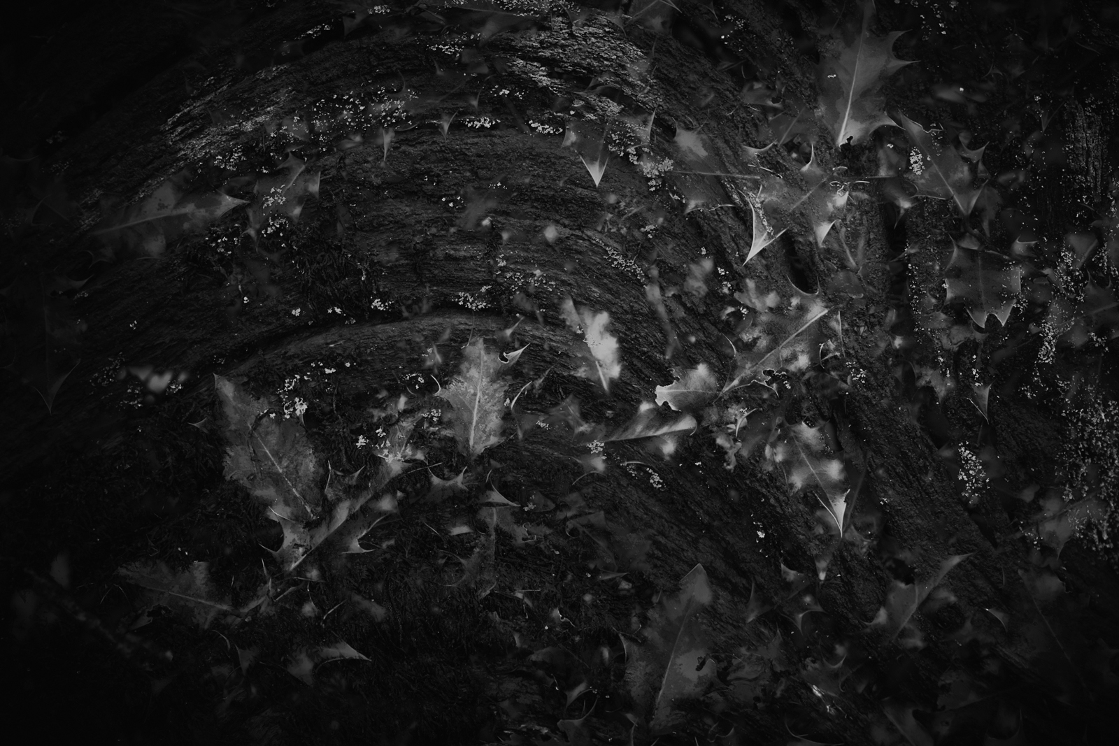 Like an home-reared animal in a quiet nook, before his day came... before entering into the prison of earth.