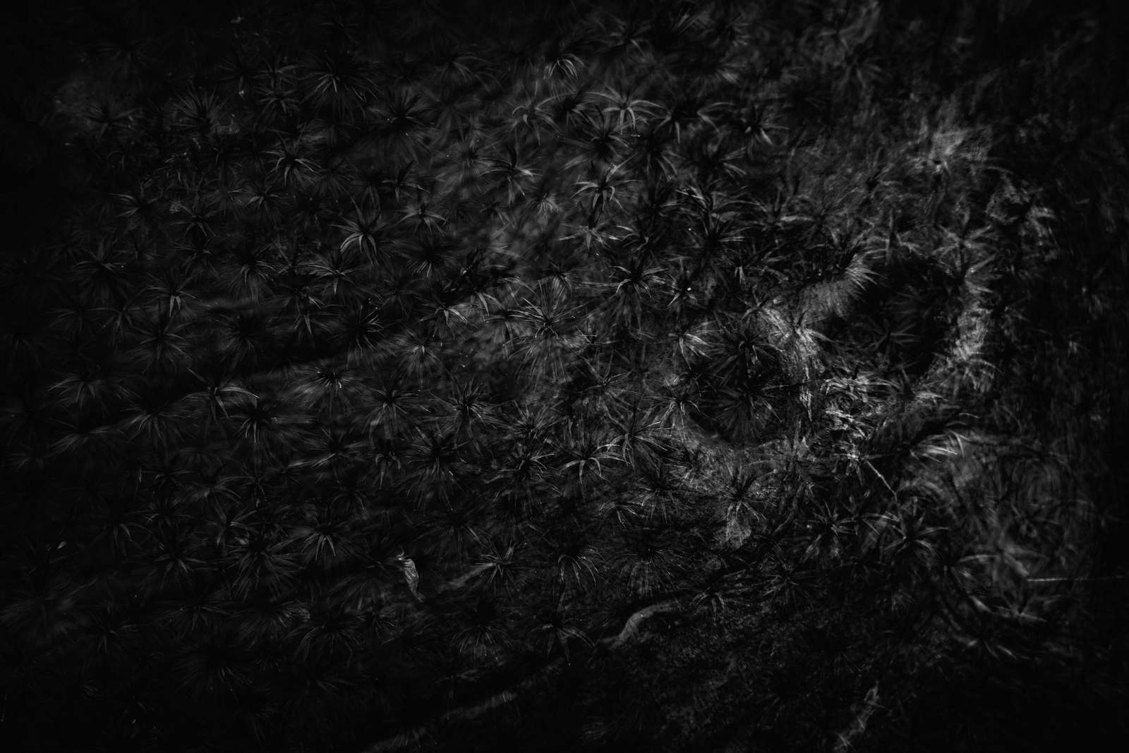 From deeply inward thumping all through you beating no peace to be still in and no one is there not anyone to stop can't anyone turn off the tap or won't anyone before it snaps.