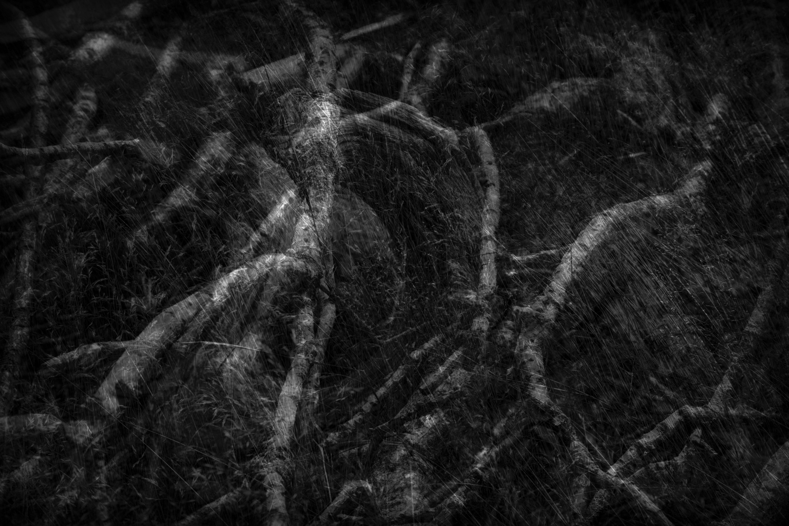 He sinks on one knee and now on the other, his upper body tilts in rigid inclination this way and back; weighted lanyard runs out full tether, swings like a pendulum and the clock runs down.