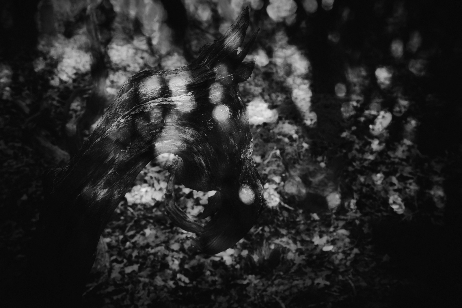 Where their faces turned, grey weald earth almost of last clung weeds of night weft behind them the stars still shined. 