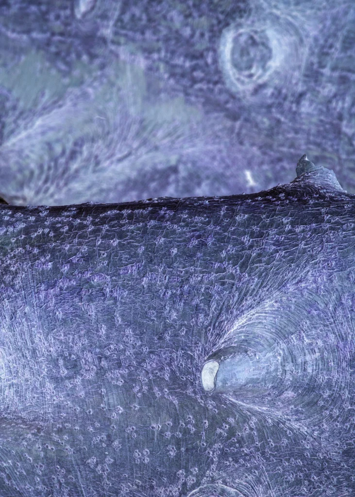 201509Sep_Songlines_0053.jpg