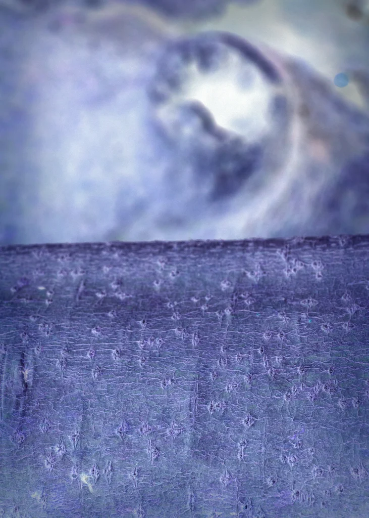 201515Jul_Songlines_0050.jpg