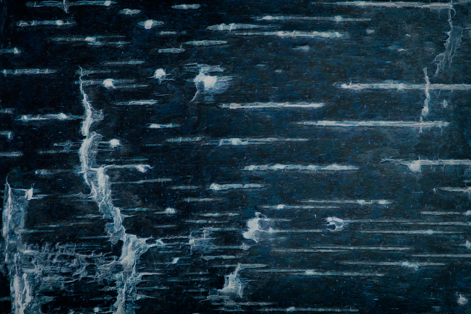 Songlines Wenallt_270315_0154.jpg