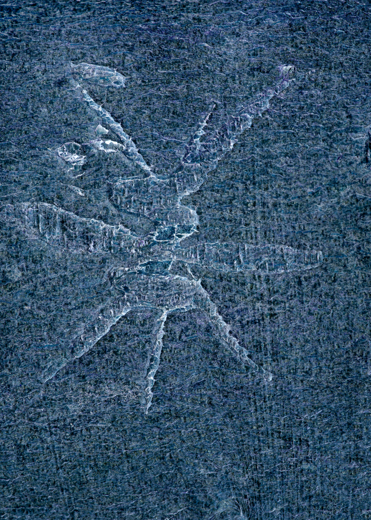 Songlines Wenallt_270315_0172 v2.jpg