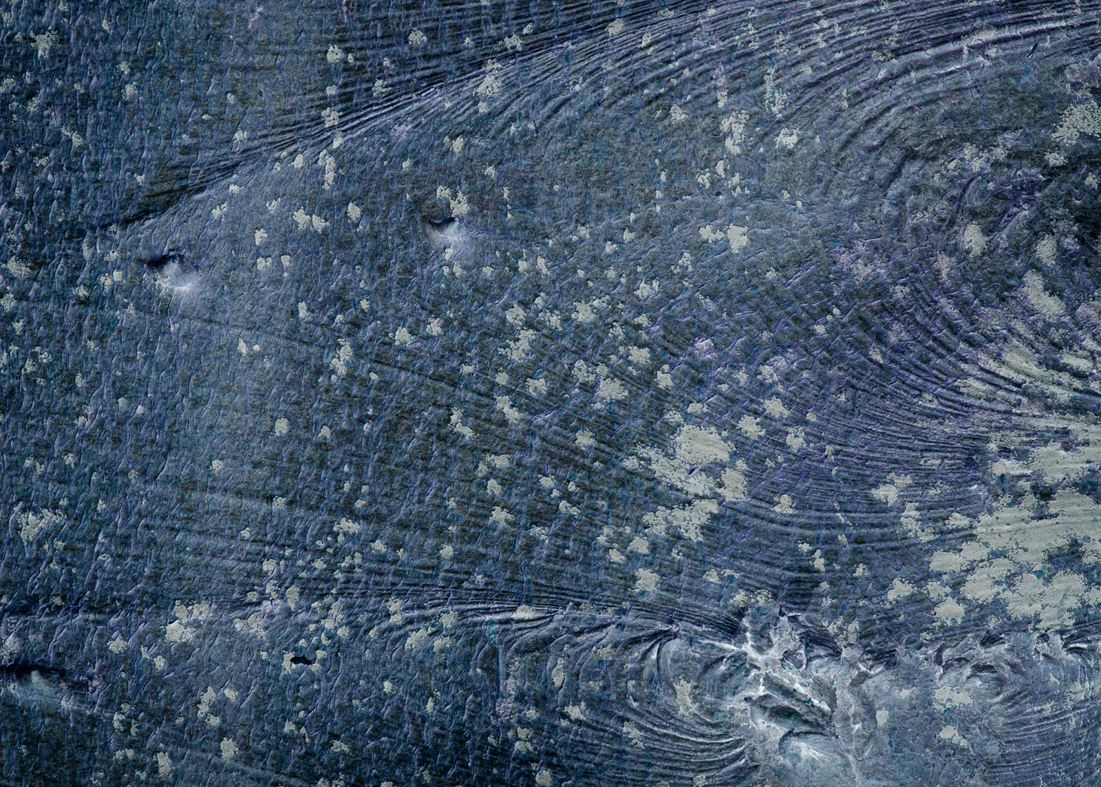 Songlines Wenallt_270315_0202.jpg