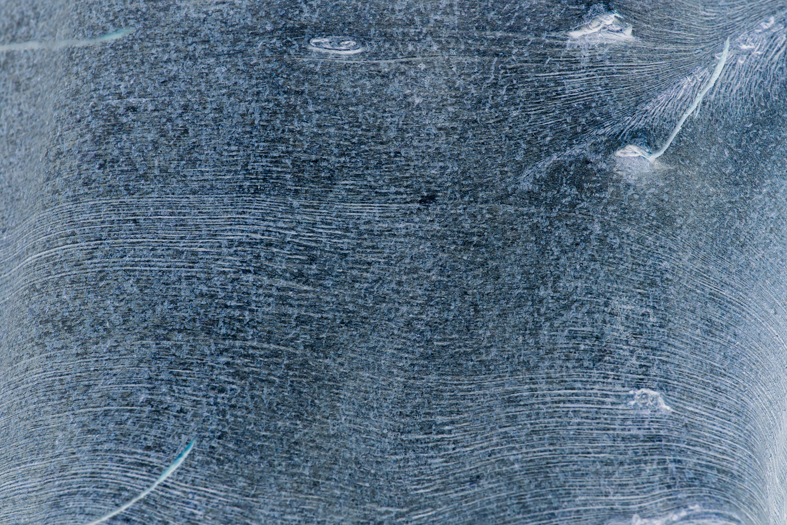 Songlines Wenallt_270315_0205.jpg
