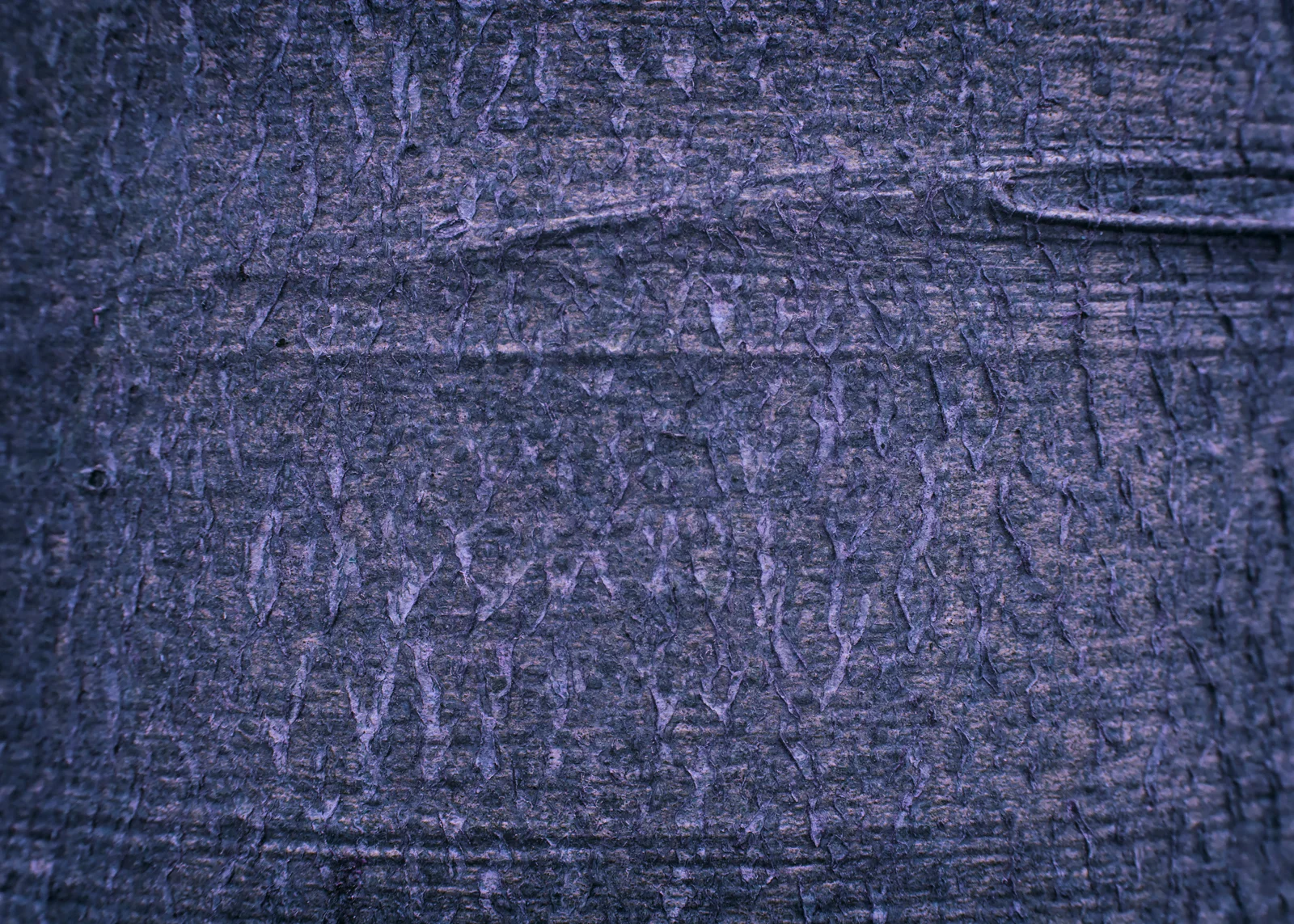 Songlines_050615_2736 col.jpg