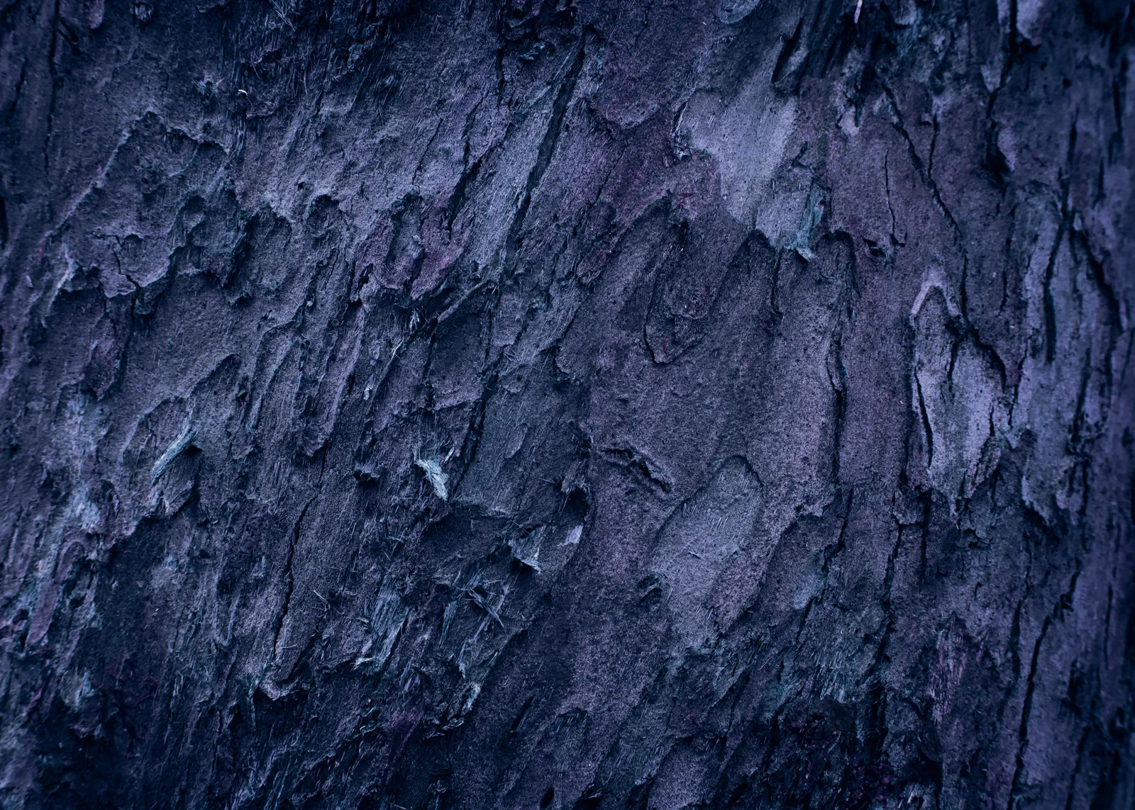 Songlines_050615_2750.jpg