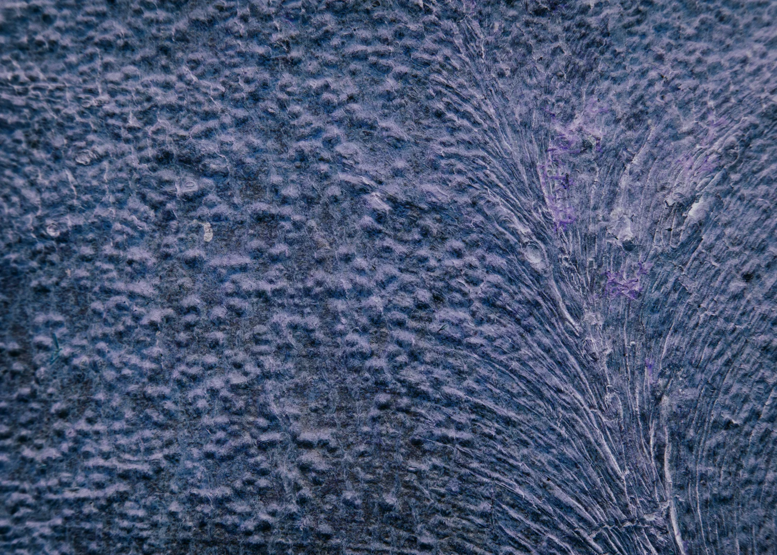 Songlines_050615_2757.jpg