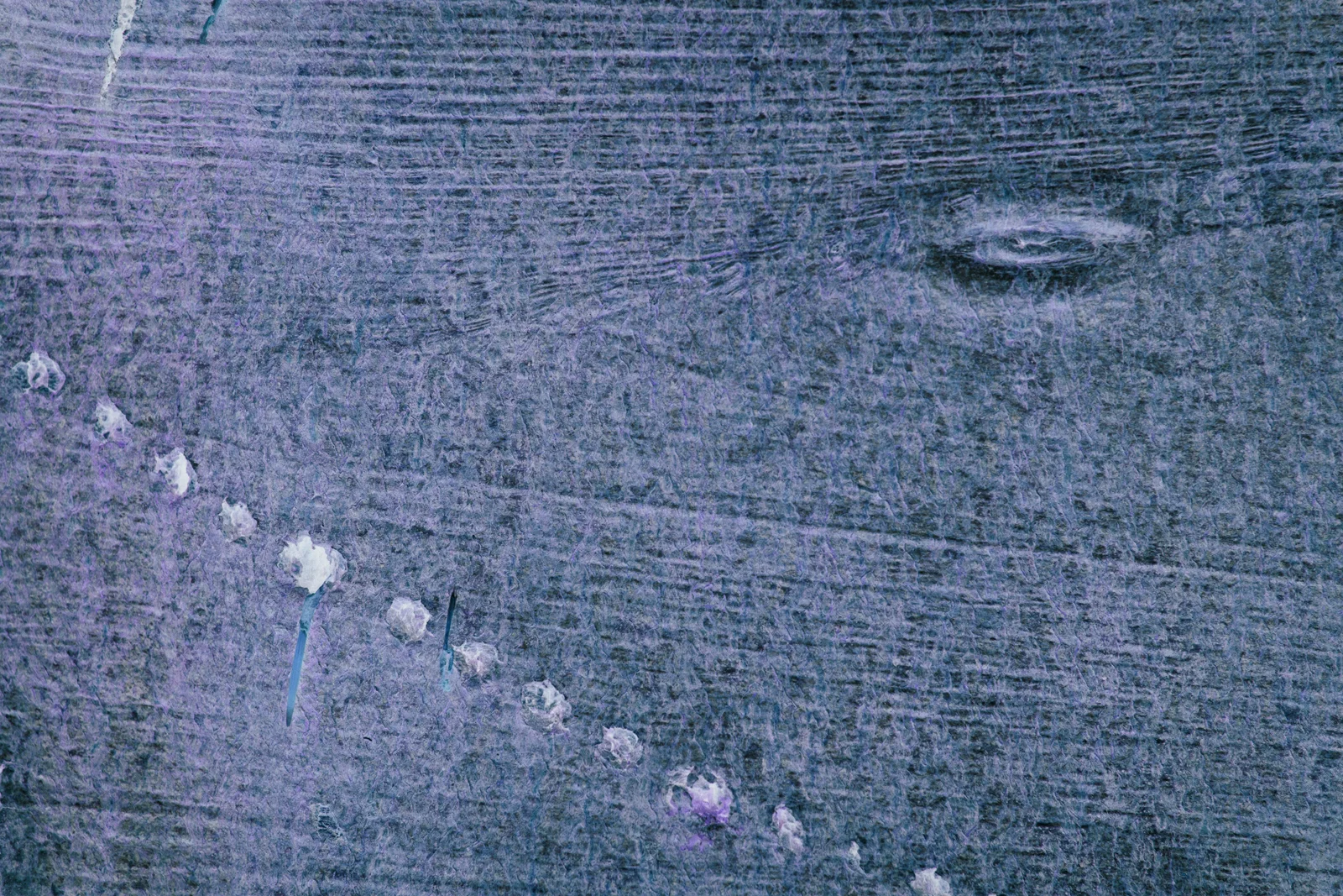 Songlines_110615_0034 v3.jpg