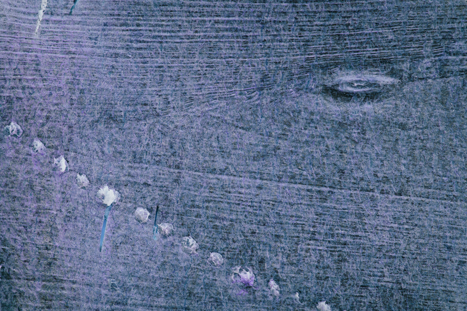 Songlines_110615_0034 v3.jpg