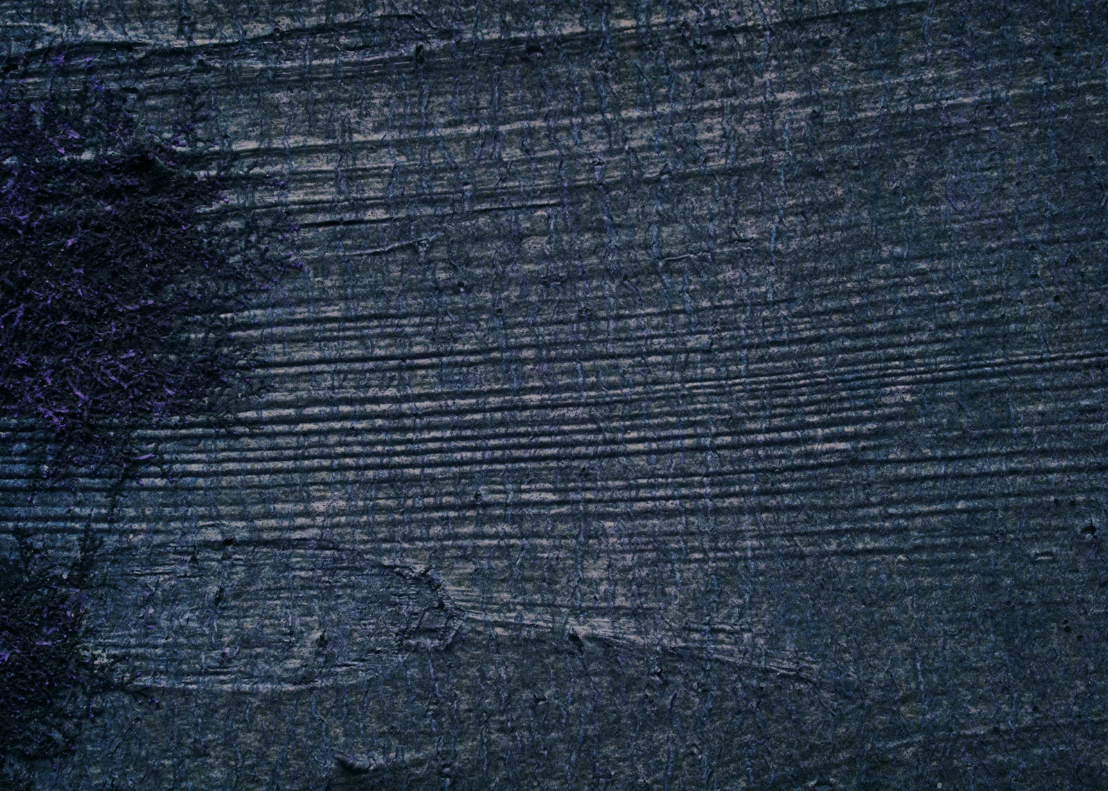 Songlines_110615_0074v2.jpg