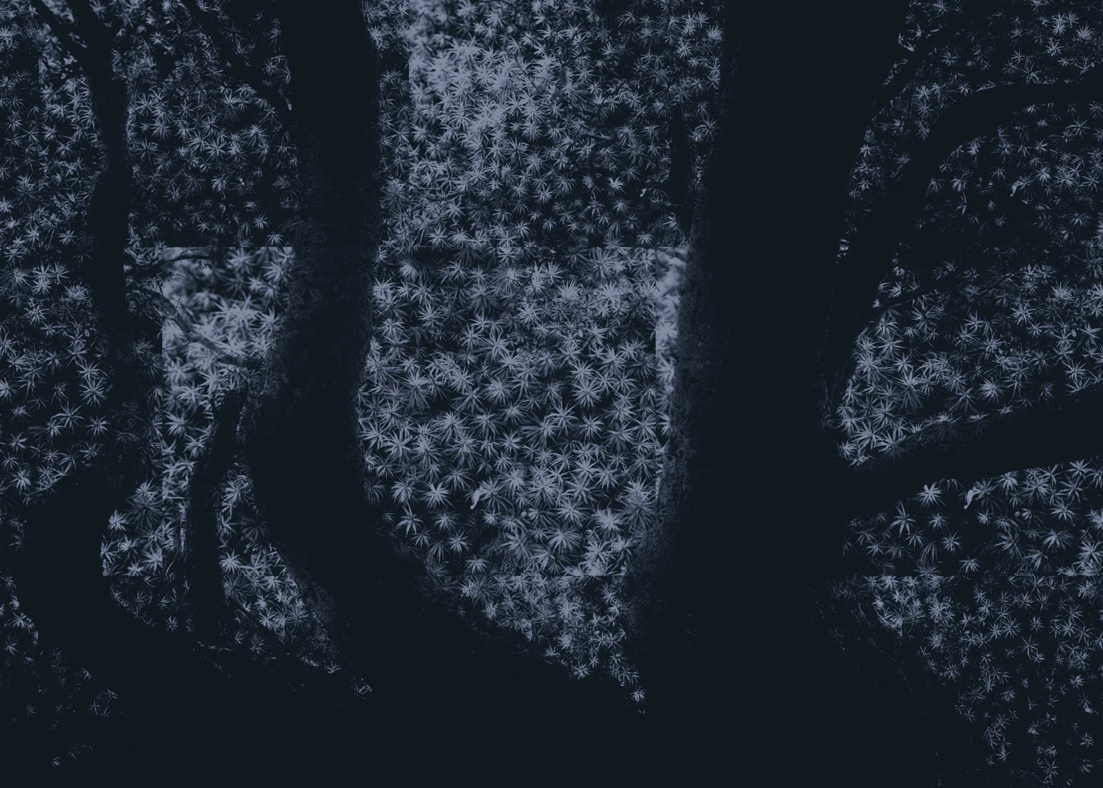 Abstract Snowscape 11.jpg