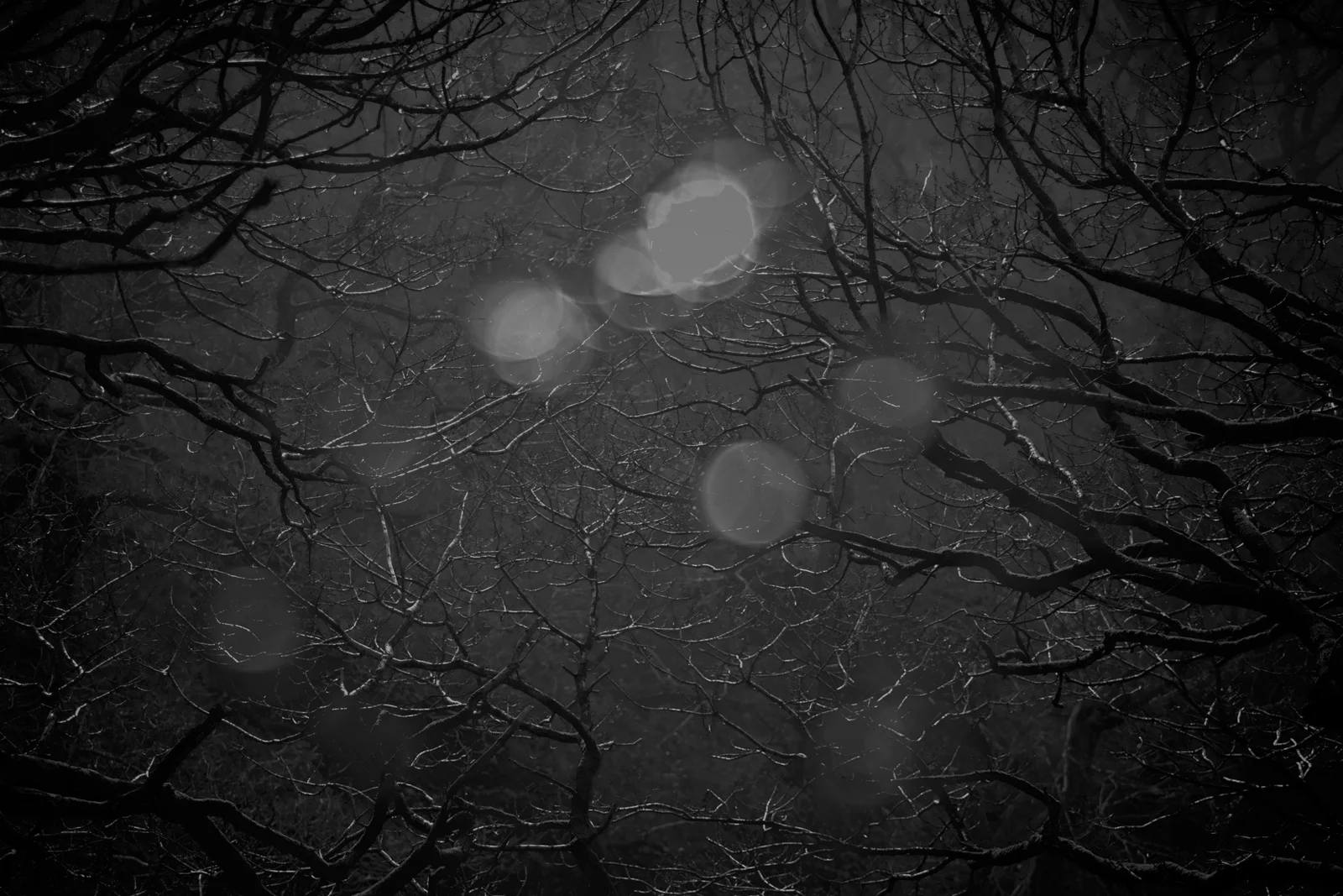 The sky flickered uncertainly, as when summer lightenings dance.
