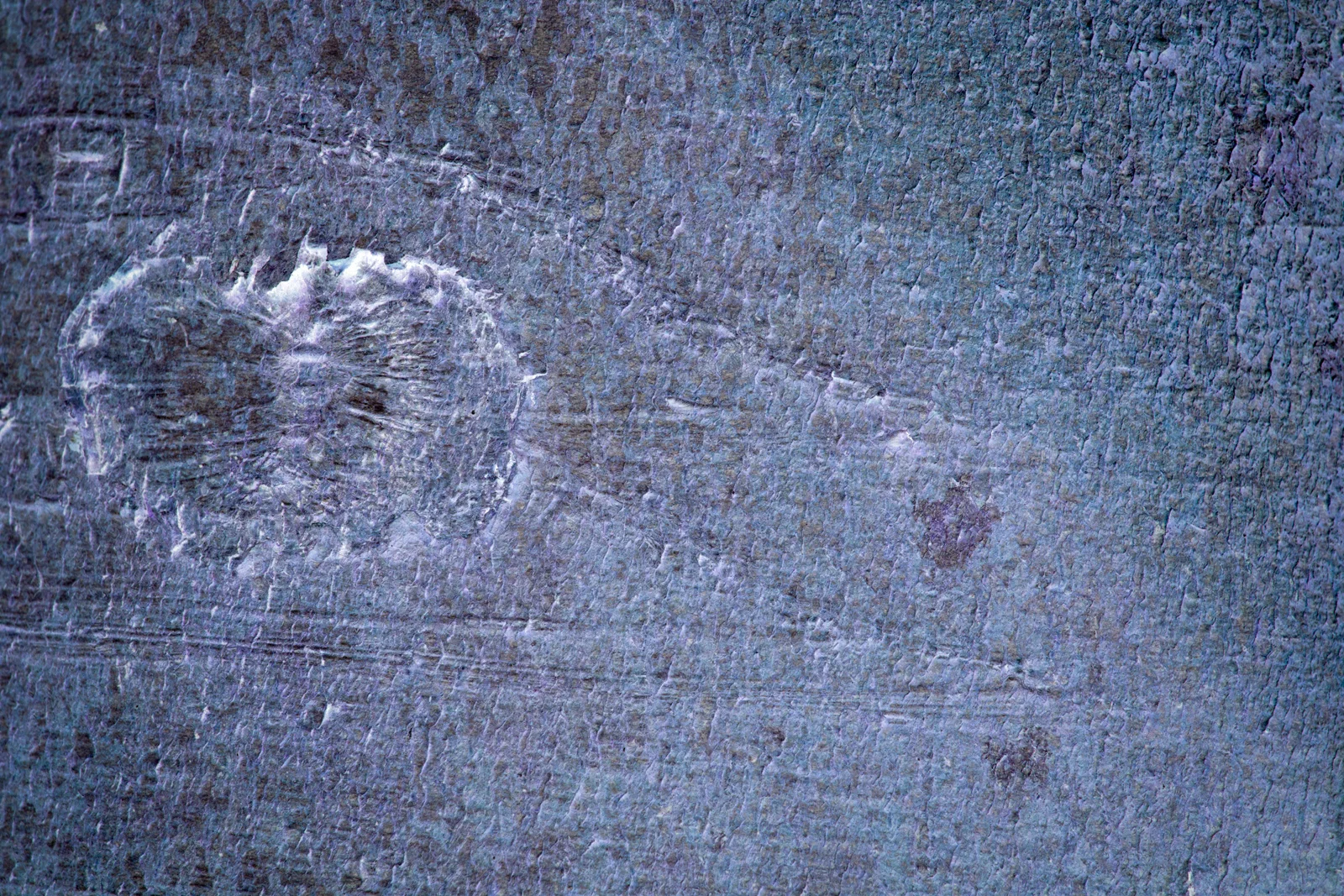 Songlines_110615_0093.jpg