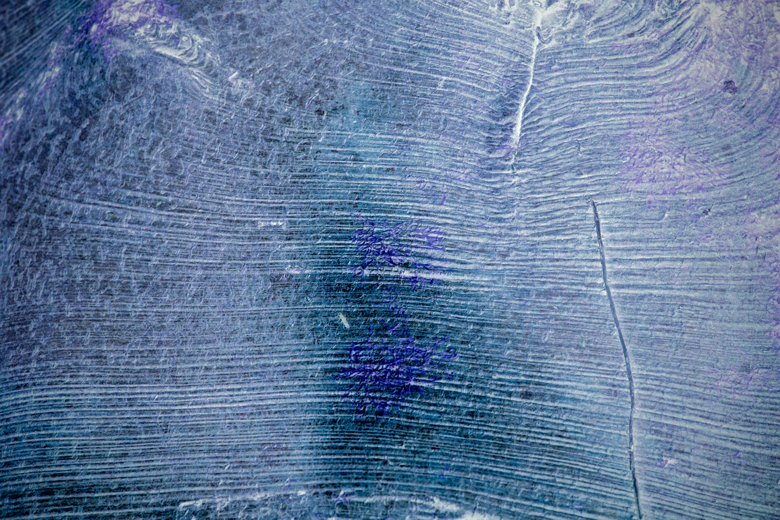 Songlines_110615_0181.jpg