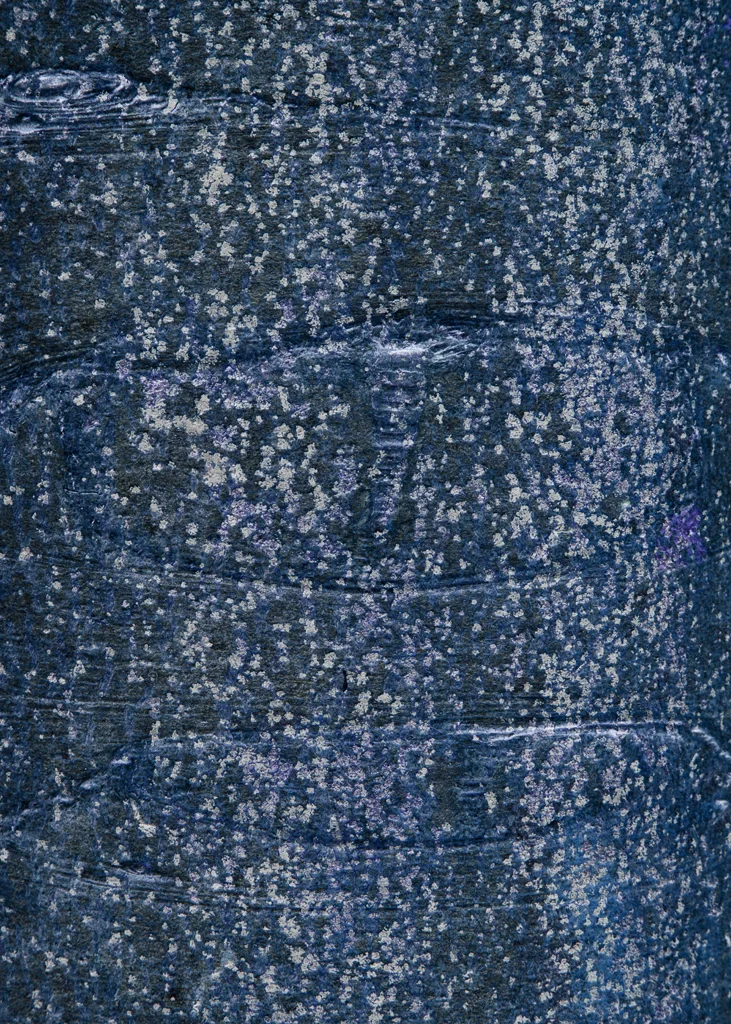Songlines_120315_0045.jpg