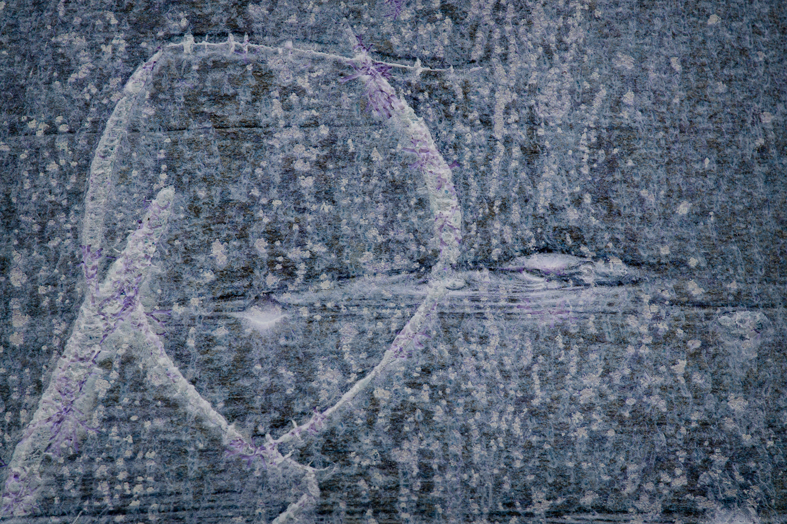 Songlines_120315_0083.jpg
