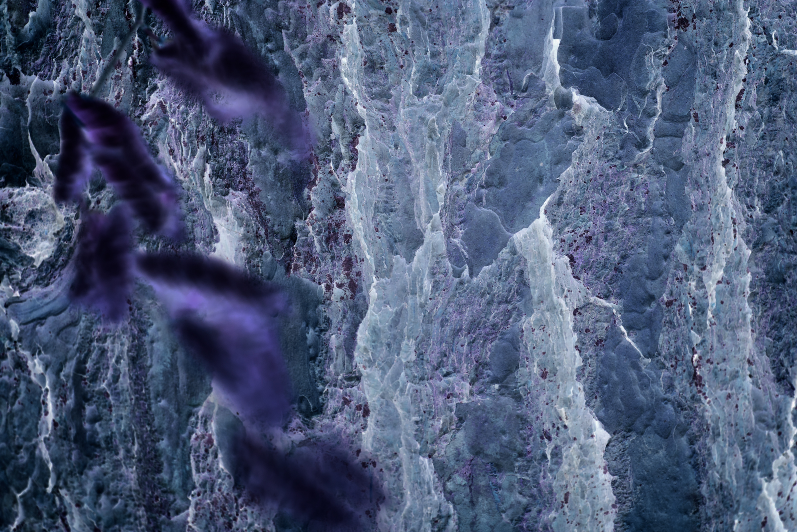Songlines_120515_2624.jpg