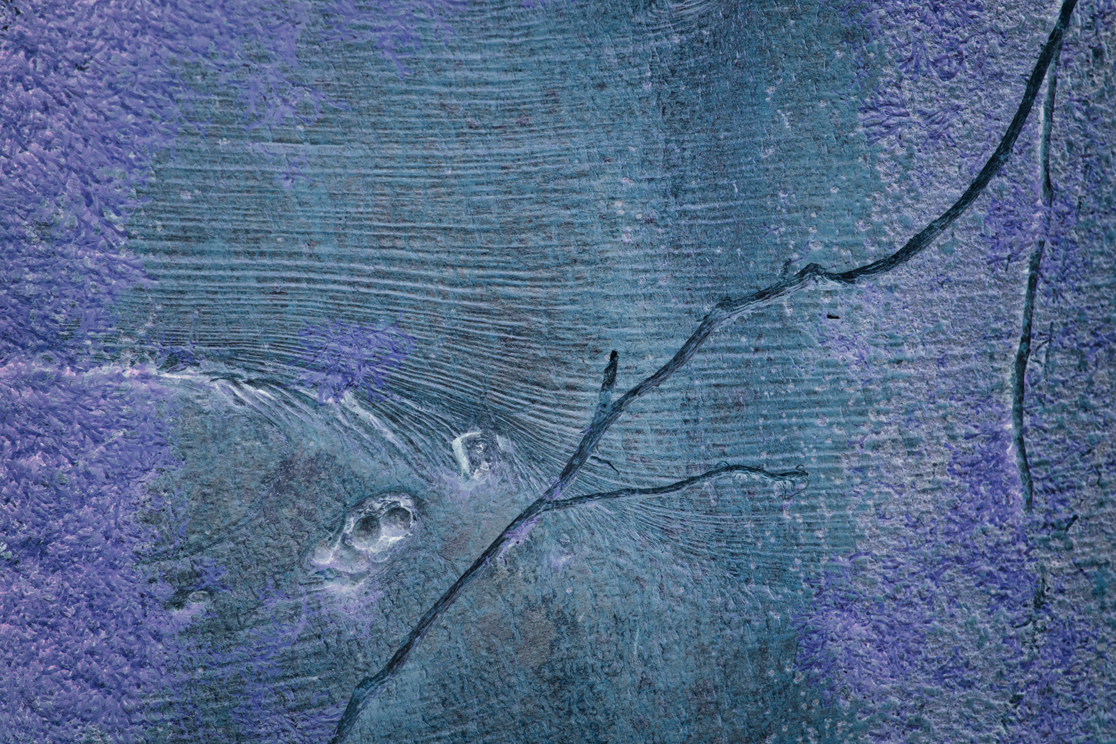 Songlines_120515_2663.jpg
