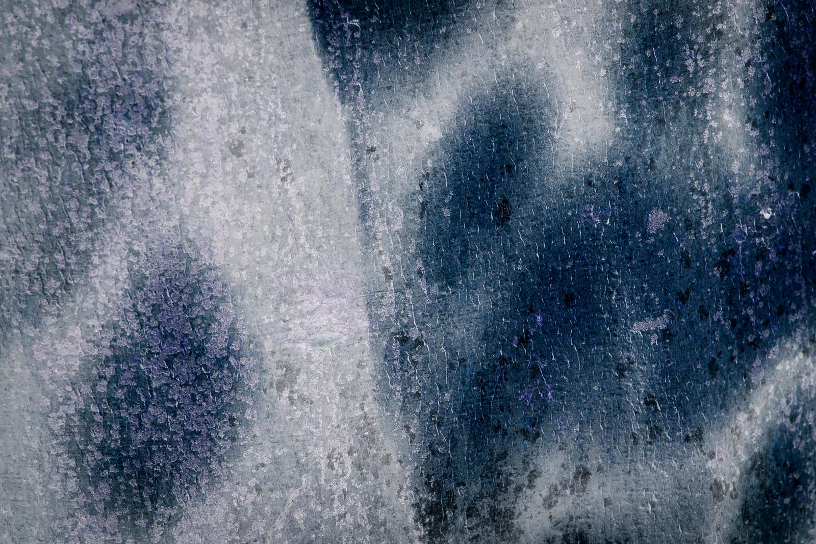 Songlines, Wenallt_190315_0047.jpg