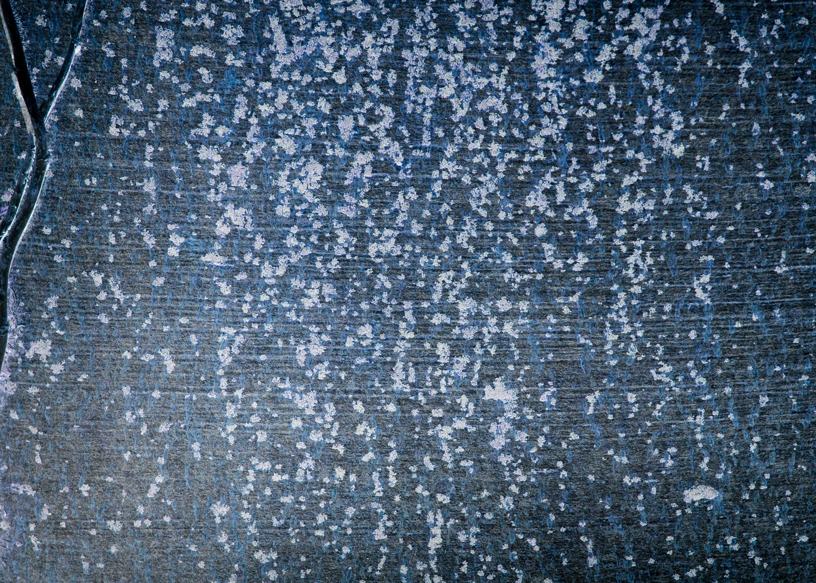 Songlines, Wenallt_190315_0079.jpg