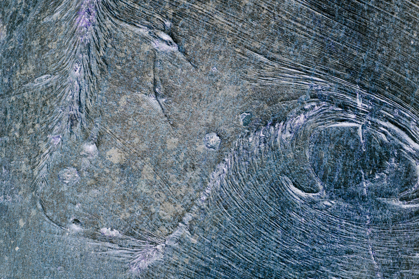 Songlines, Wenallt_190315_0104.jpg