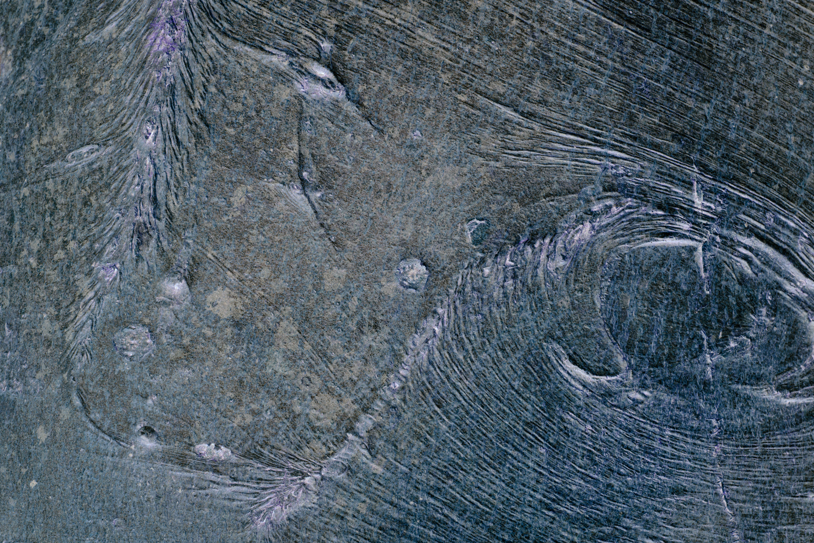 Songlines, Wenallt_190315_0104nv2.jpg