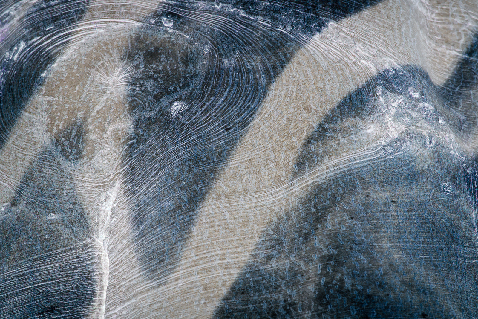 Songlines, Wenallt_190315_0126.jpg
