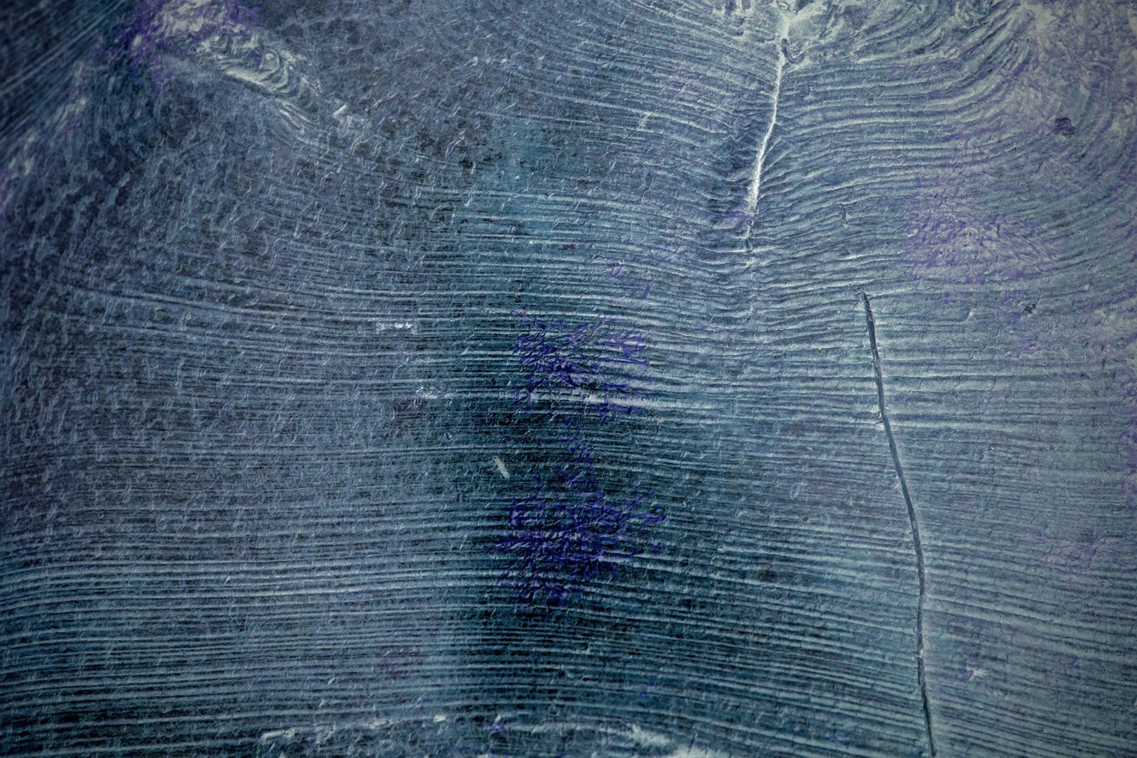 Songlines_110615_0181.jpg
