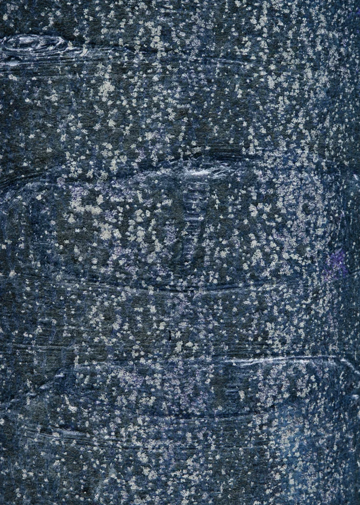 Songlines_120315_0045.jpg